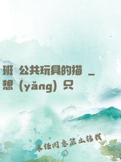 班級公共玩具的描寫