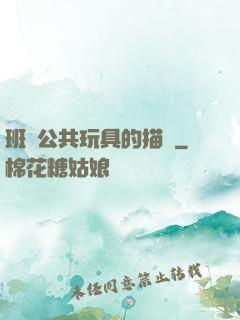 班級公共玩具的描寫