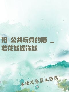 班級公共玩具的描寫