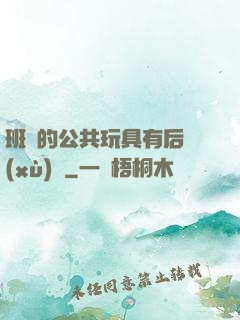 班級的公共玩具有后續(xù)嗎