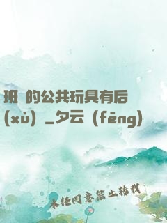 班級的公共玩具有后續(xù)嗎