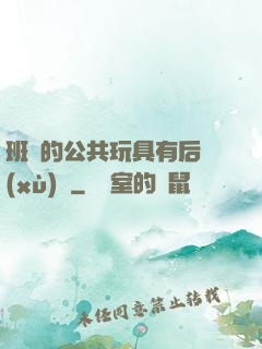 班級的公共玩具有后續(xù)嗎