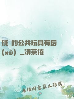 班級的公共玩具有后續(xù)嗎