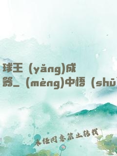 球王養(yǎng)成器