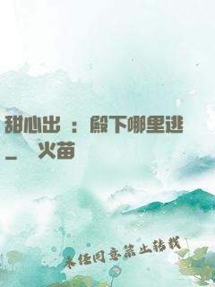 甜心出擊：殿下哪里逃