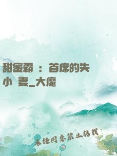 甜蜜霸寵：首席的失憶小嬌妻