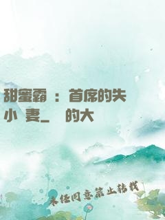 甜蜜霸寵：首席的失憶小嬌妻