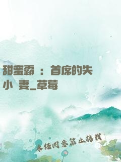 甜蜜霸寵：首席的失憶小嬌妻
