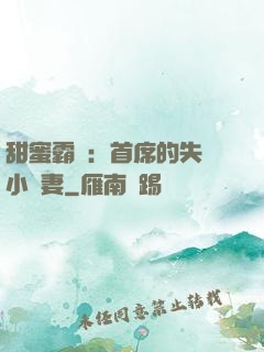 甜蜜霸寵：首席的失憶小嬌妻
