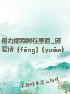 用力插我射在里面