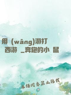 用網(wǎng)游打開西游記