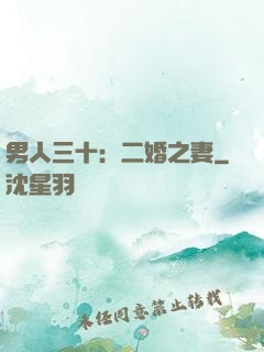 男人三十：二婚之妻