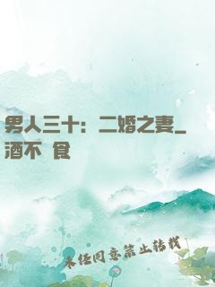 男人三十：二婚之妻
