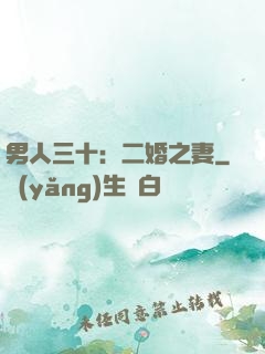 男人三十：二婚之妻