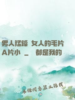 男人猛躁進女人的毛片A片小說