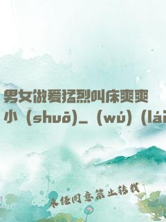男女做爰猛烈叫床爽爽小說(shuō)