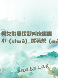 男女做爰猛烈叫床爽爽小說(shuō)