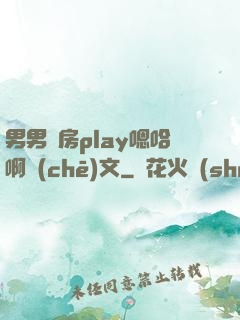 男男廚房play嗯哈啊車(chē)文