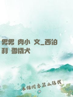 男男純肉小黃文