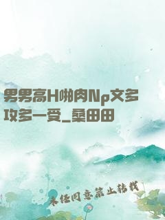 男男高H啪肉Np文多攻多一受