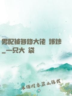 男配被各路大佬們爆炒