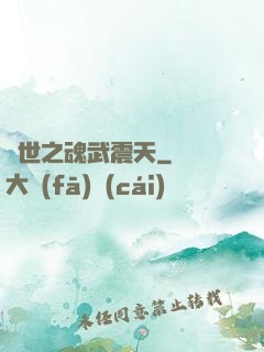異世之魂武震天