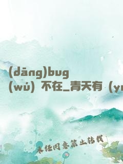 當(dāng)bug無(wú)處不在