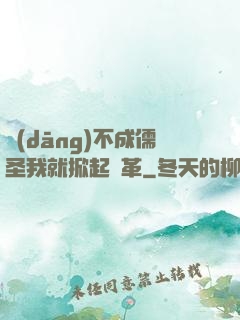 當(dāng)不成儒圣我就掀起變革