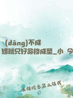 當(dāng)不成贅婿就只好命格成圣