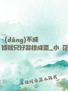 當(dāng)不成贅婿就只好命格成圣