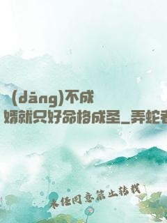 當(dāng)不成贅婿就只好命格成圣