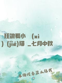瘋狂做爰小說細(xì)節(jié)描寫