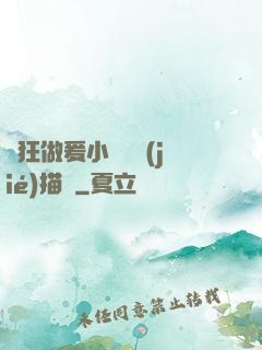 瘋狂做爰小說細節(jié)描寫