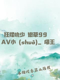 瘋狂揉吮少婦嫩草99AV小說(shuō)