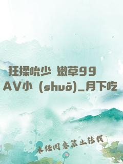 瘋狂揉吮少婦嫩草99AV小說(shuō)