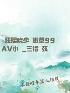瘋狂揉吮少婦嫩草99AV小說