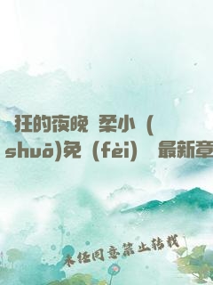 瘋狂的夜晚蘇柔小說(shuō)免費(fèi)閱讀最新章