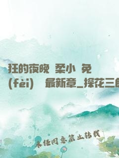 瘋狂的夜晚蘇柔小說免費(fèi)閱讀最新章