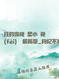 瘋狂的夜晚蘇柔小說免費(fèi)閱讀最新章
