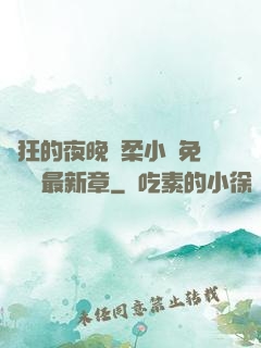 瘋狂的夜晚蘇柔小說免費閱讀最新章