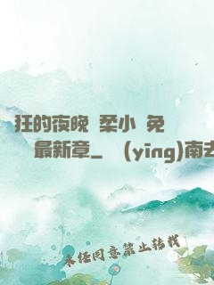 瘋狂的夜晚蘇柔小說免費閱讀最新章