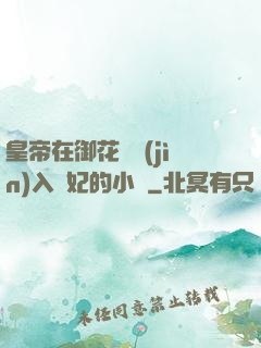皇帝在御花園進(jìn)入貴妃的小說