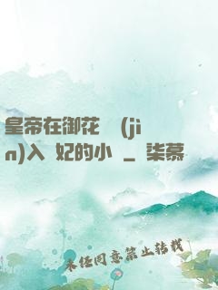 皇帝在御花園進(jìn)入貴妃的小說
