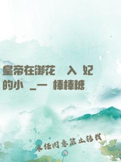 皇帝在御花園進入貴妃的小說