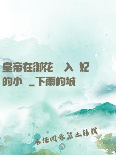 皇帝在御花園進入貴妃的小說