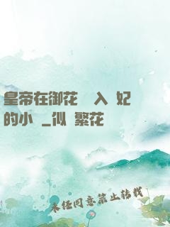 皇帝在御花園進入貴妃的小說