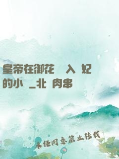 皇帝在御花園進入貴妃的小說