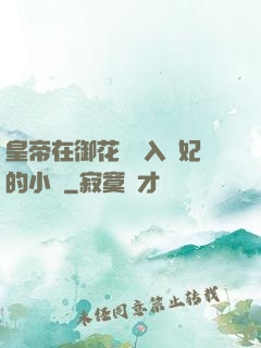 皇帝在御花園進入貴妃的小說