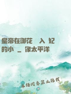 皇帝在御花園進入貴妃的小說