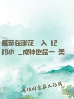 皇帝在御花園進入貴妃的小說